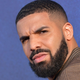 Illustration for article titled Drake's Unattractive $395,000 Mattress Is Made of Horsehair, Of Course